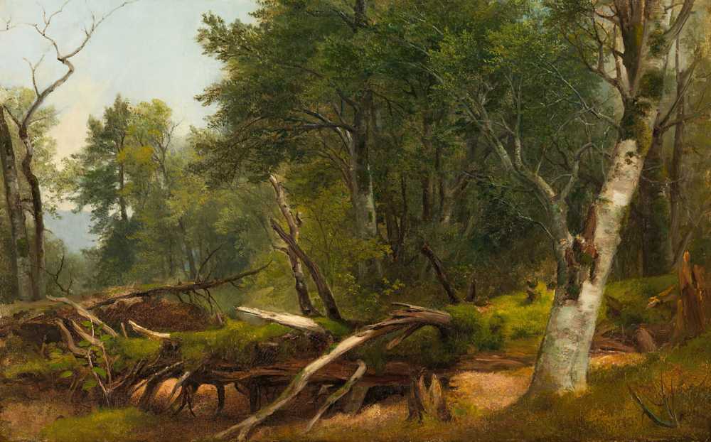 Forest Scene in the Catskills (between 1855 and 1860) - Asher Brown Durand