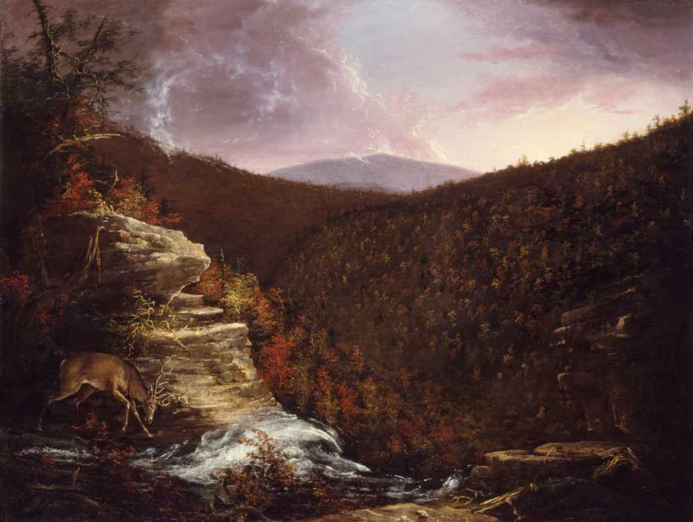 From the Top of Kaaterskill Falls (1826) - Thomas Cole