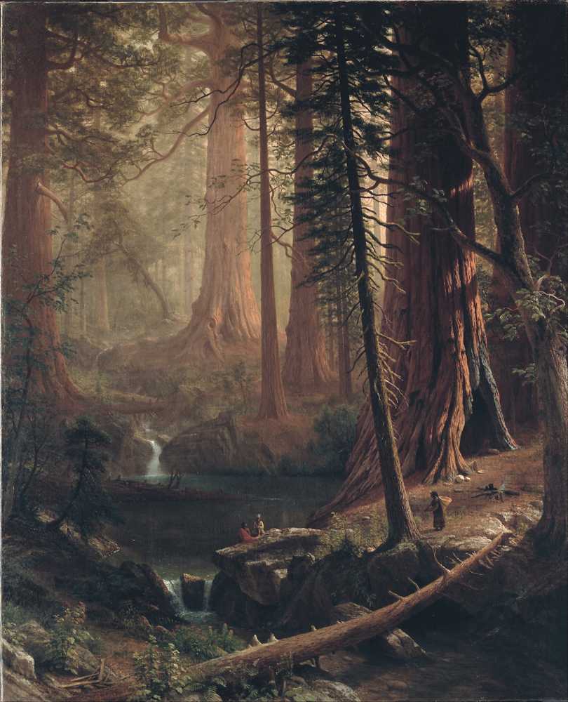 Giant Redwood Trees of California (1874) - Albert Bierstadt