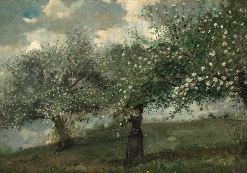 Girl Picking Apple Blossoms (1879) - Winslow Homer