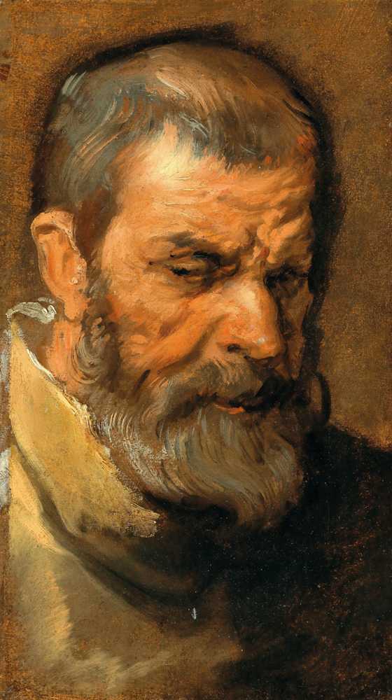 Head Of A Bearded Man - Antoon Van Dyck
