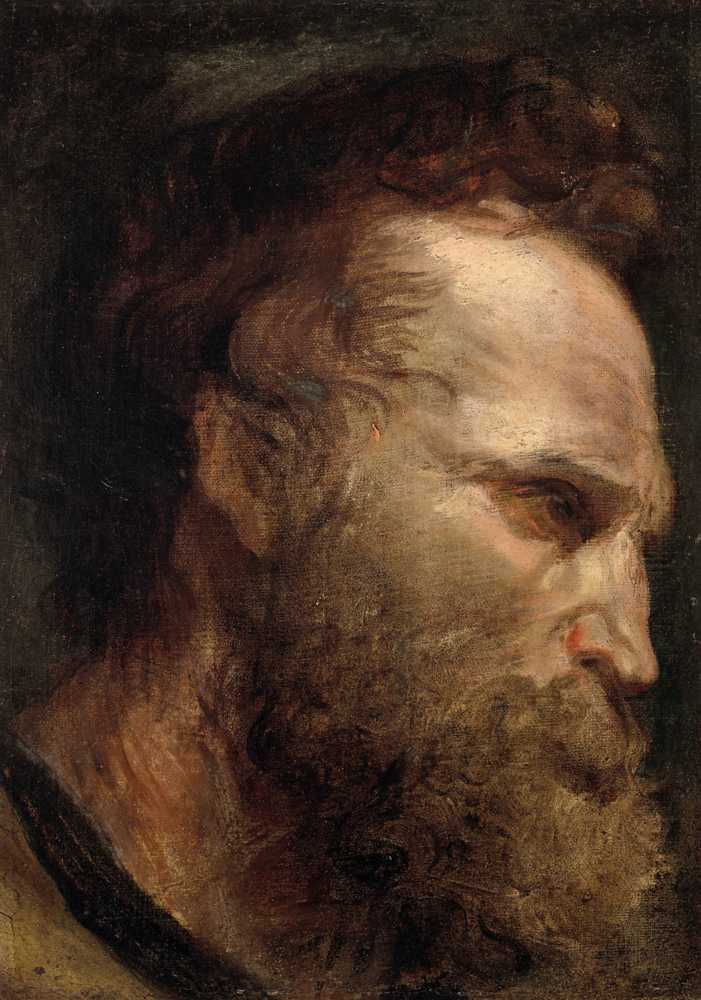 Head study of a bearded man 2 - Antoon Van Dyck