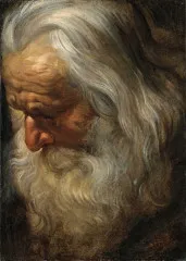 Head study of a bearded old man - Peter Paul Rubens
