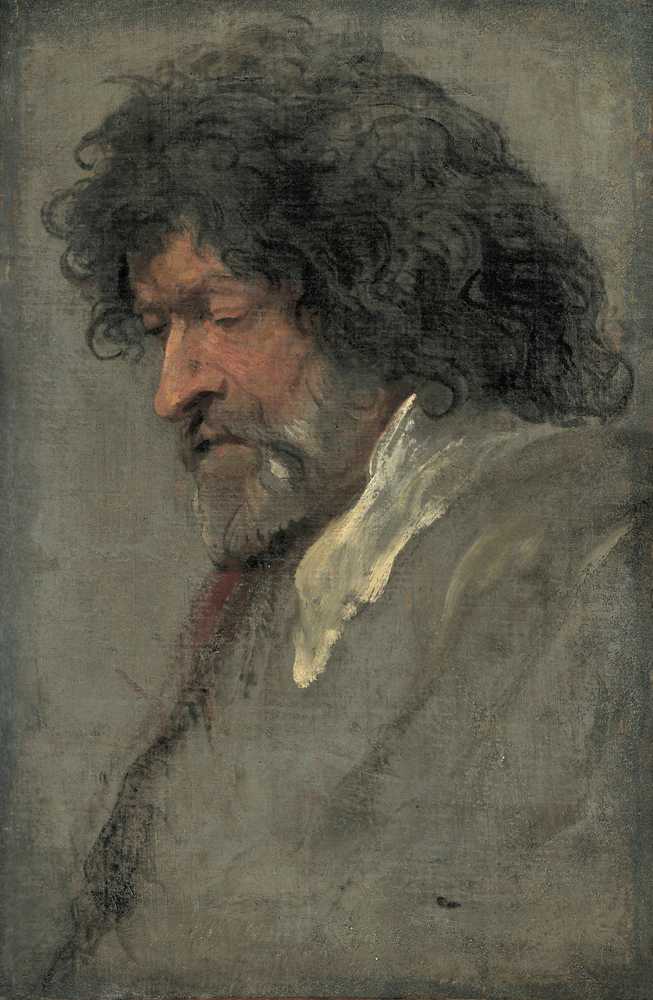 Head study of a man - Antoon Van Dyck