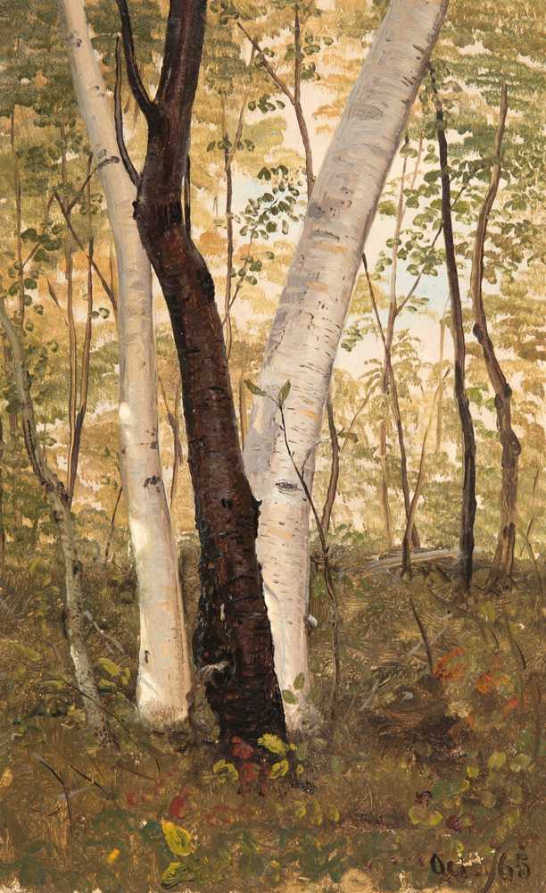 In the Woods, Hudson, New York (1865) - Frederick Edwin Church