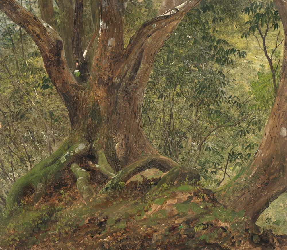 In the woods, Jamaica (1865) - Frederick Edwin Church