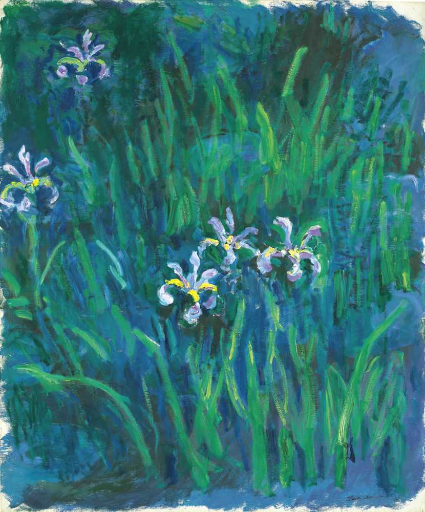 Iris - Claude Monet