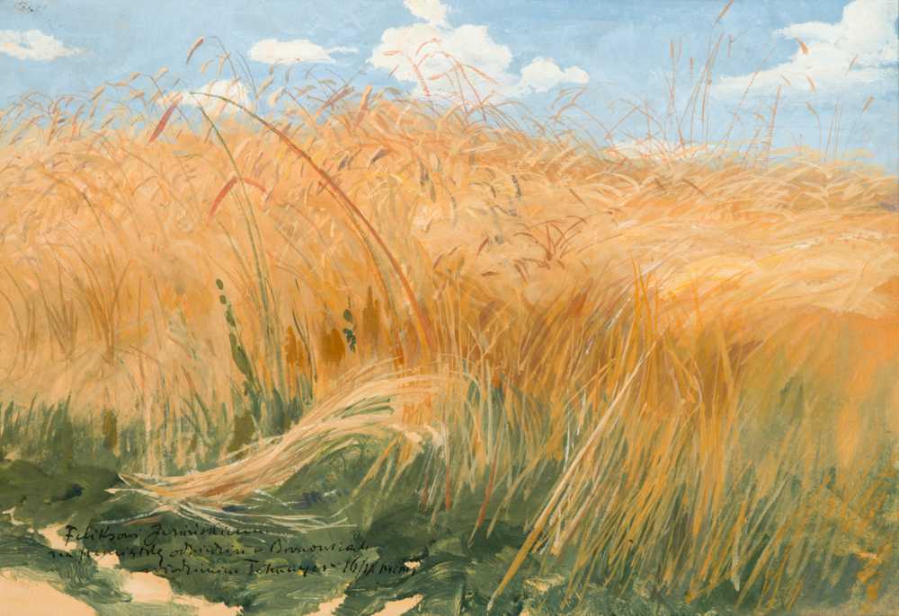 Kłosy (Field and cereal studies) (1901) - Włodzimierz Tetmajer