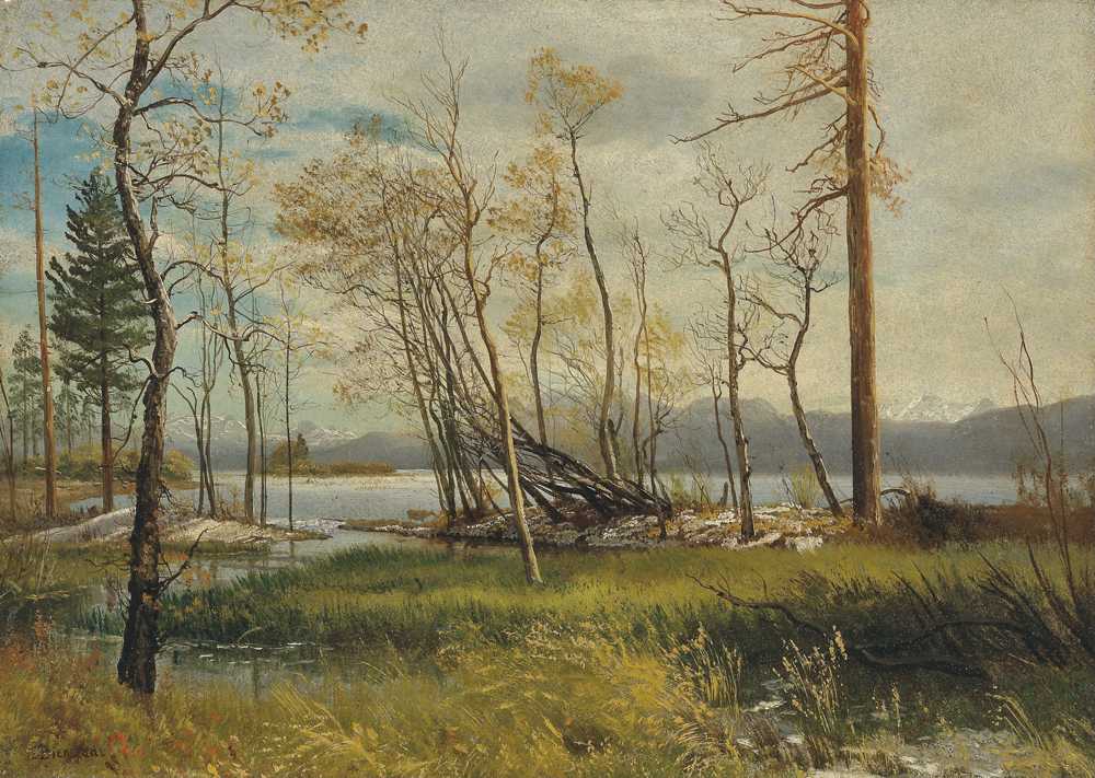 Lake Tahoe (1872) - Albert Bierstadt