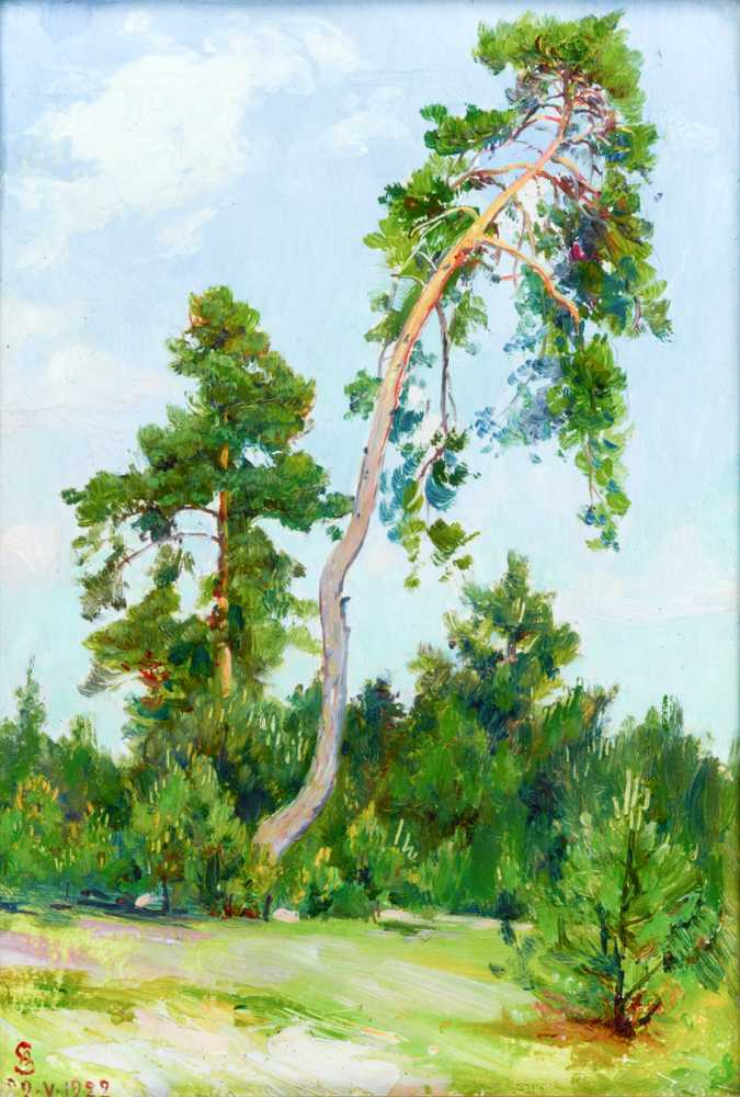Leaning Pine (1922) - Ambroży Sabatowski