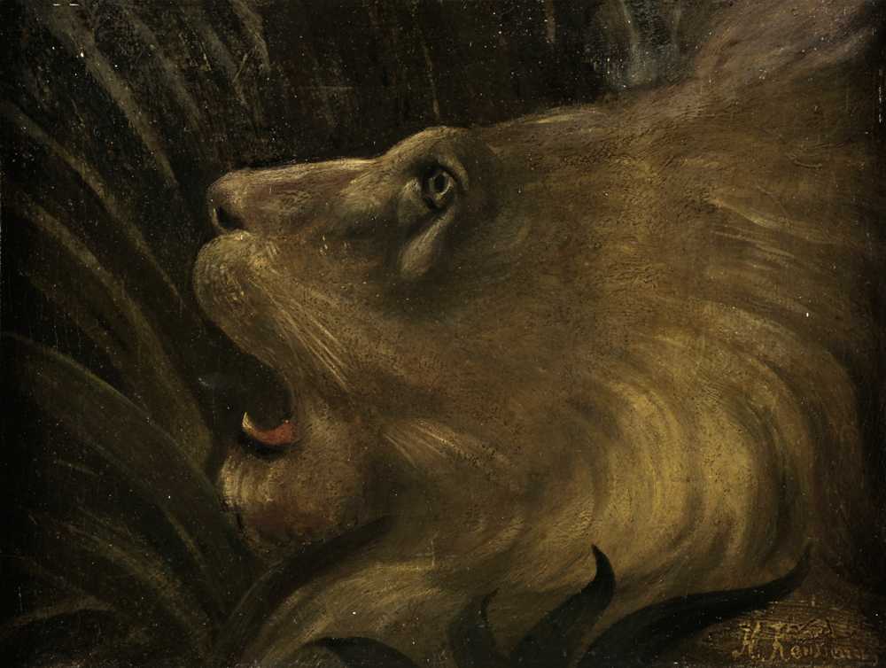 Lion head - Henri Rousseau