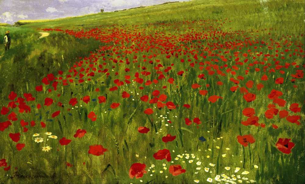 Meadow with Poppies (1896) - Pal Szinyei Merse
