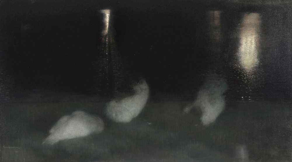 Nocturne. Swans in the Saxon Garden in Warsaw at night (Sleeping... - Pankiewicz