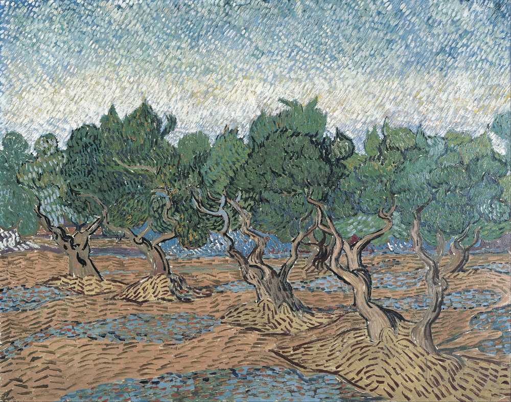 Olive grove - Vincent van Gogh
