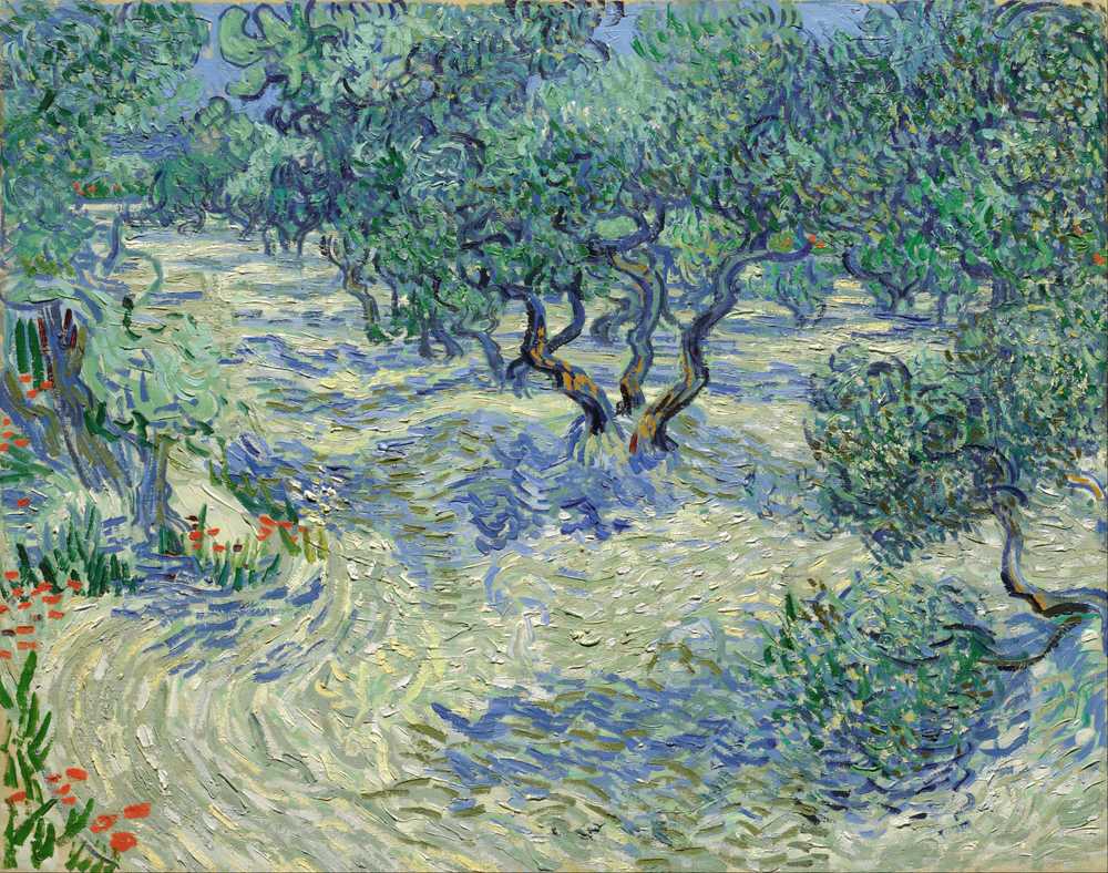 Olive Orchard - Vincent van Gogh