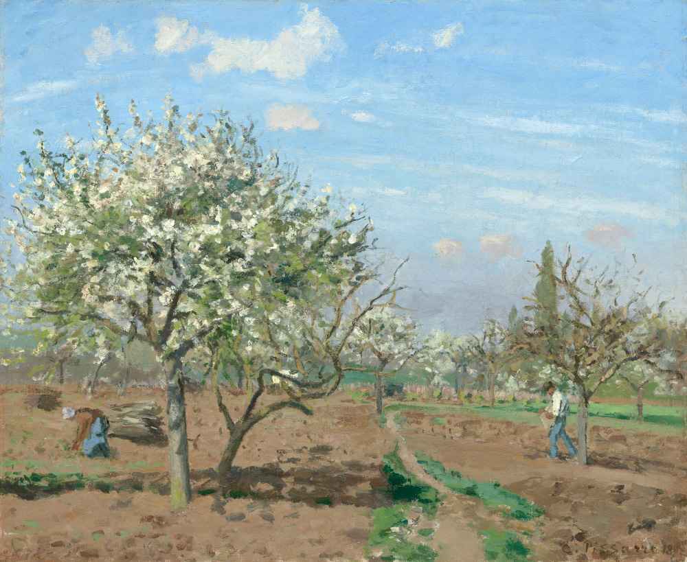 Orchard in Bloom, Louveciennes - Camille Pissarro