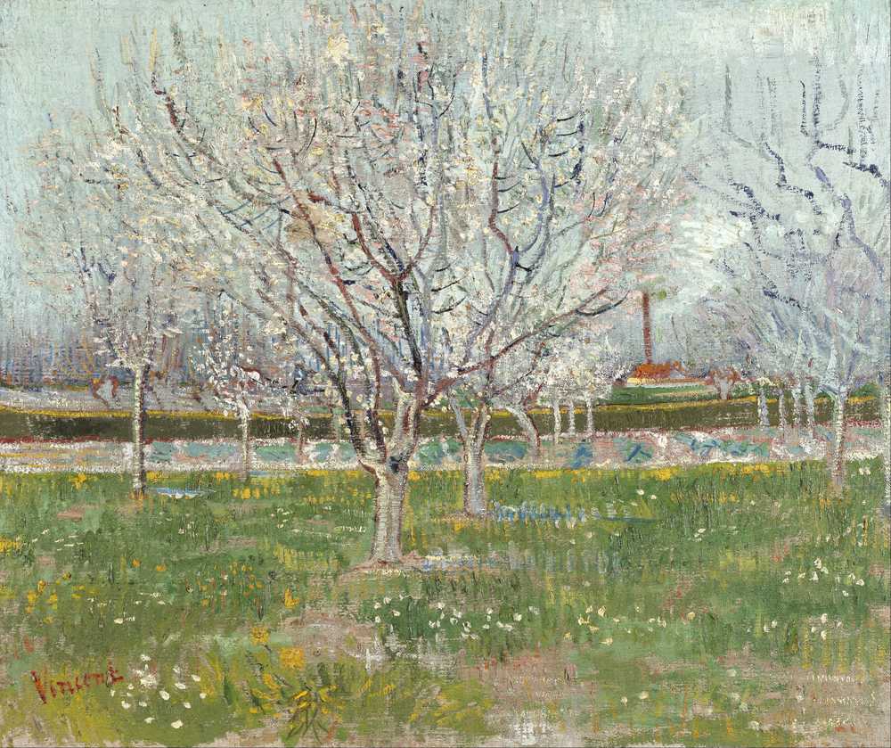 Orchard in Blossom (Plum Trees) - Vincent van Gogh