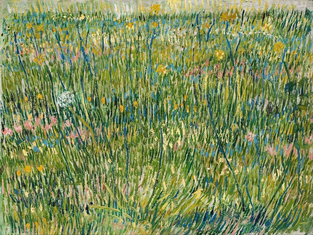 Patch of grass by Van Gogh - Vincent van Gogh