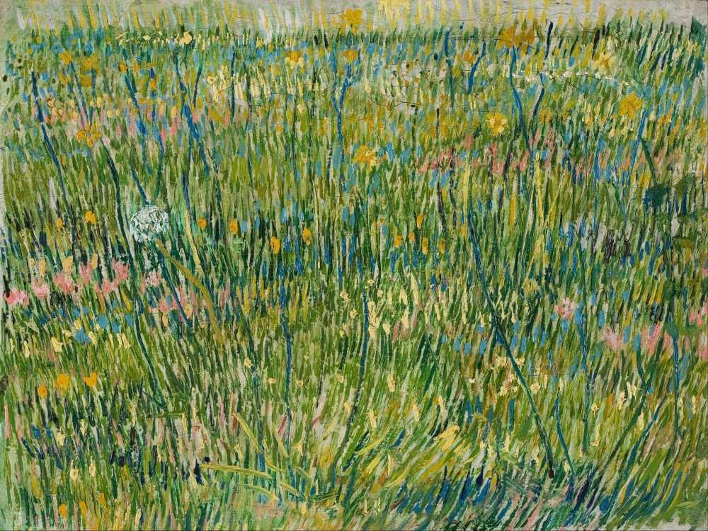 Patch of grass - Van Gogh