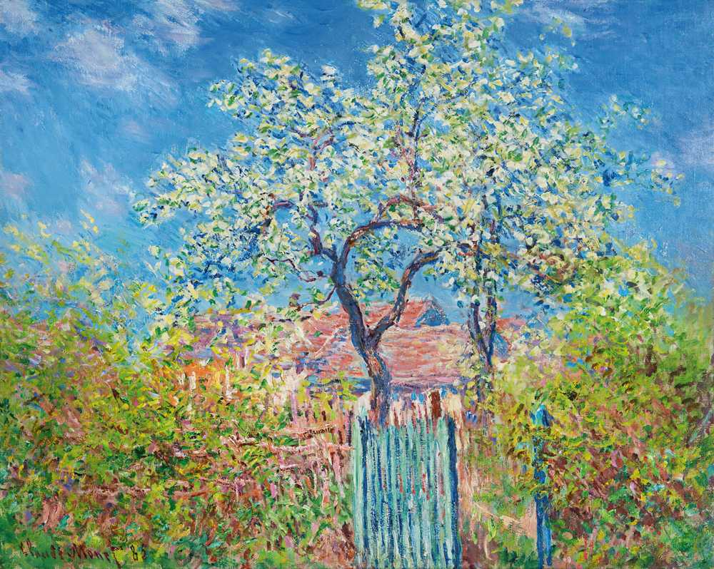 Pear Tree In Bloom (1885) - Claude Monet