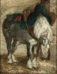 Percheron harnessed - Piotr Michałowski
