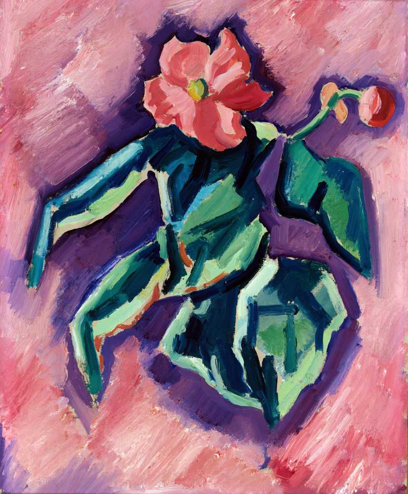 Pink Begonias (1928-1929) - Marsden Hartley