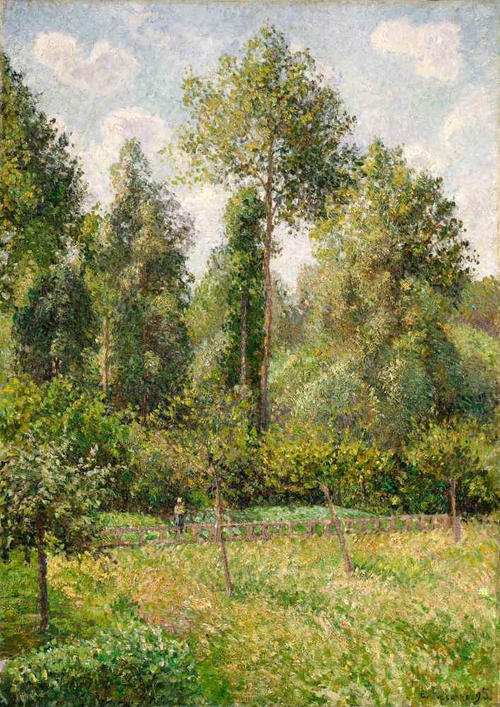 Poplars, Éragny - Camille Pissarro