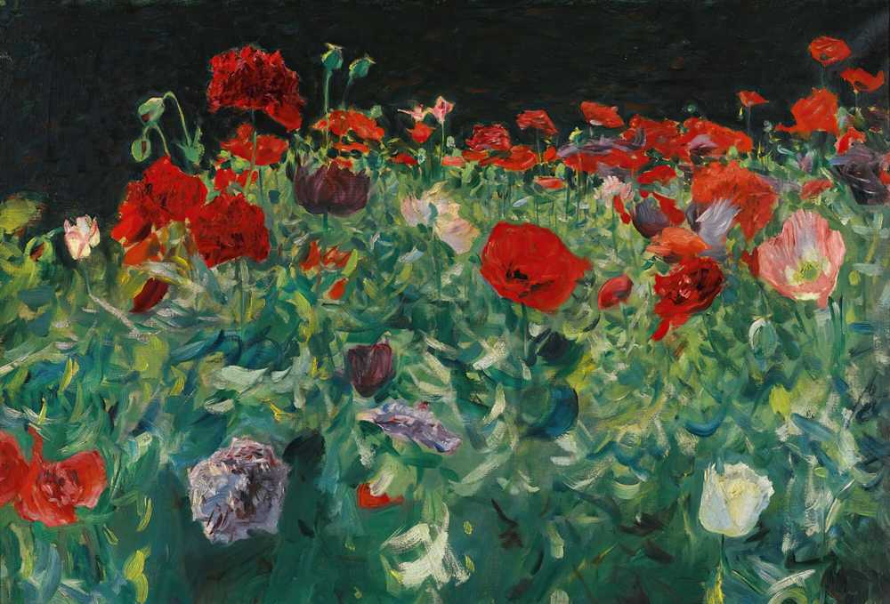 Poppies (1886) - John Singer-Sargent