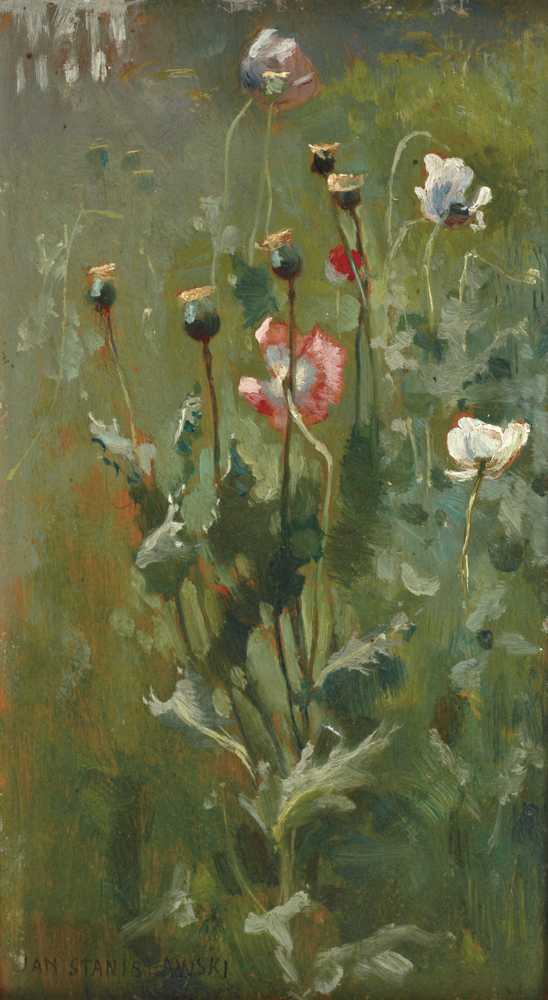 Poppies in Bloom (1883-1890) - Jan Stanisławski