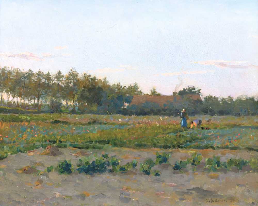 Poppy Field (1884) - Henri Le Sidaner