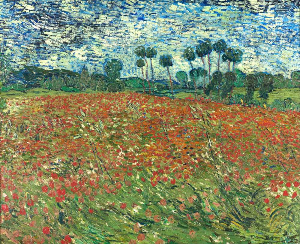 Poppy field - Vincent van Gogh