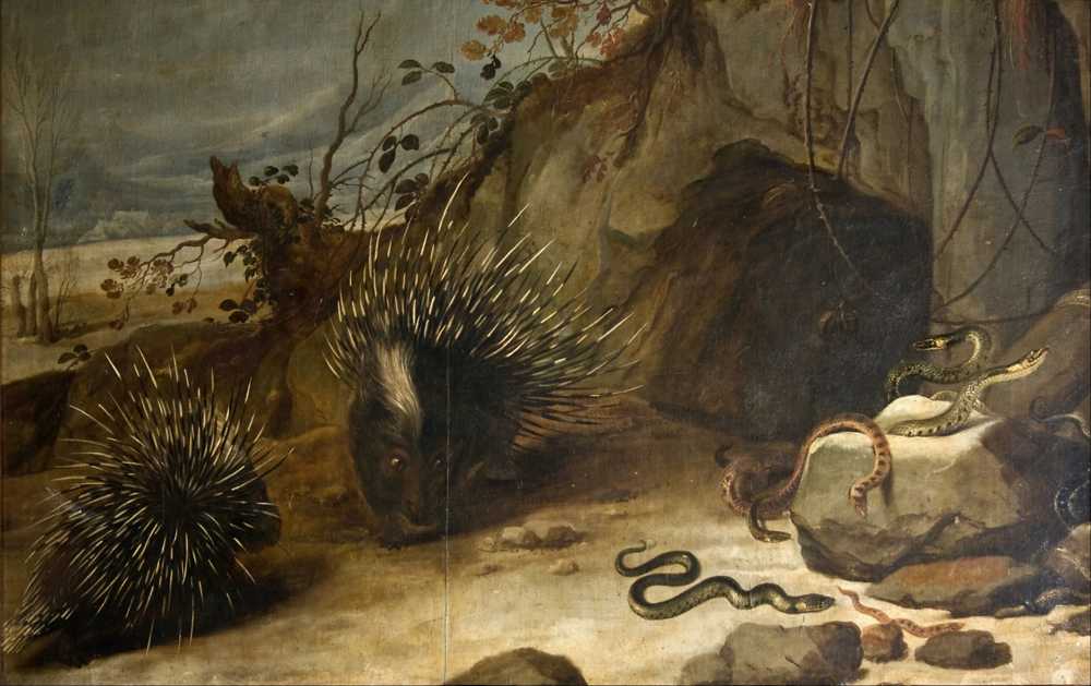Porcupines and vipers (Ca. 1579-1657) - Frans Snyders