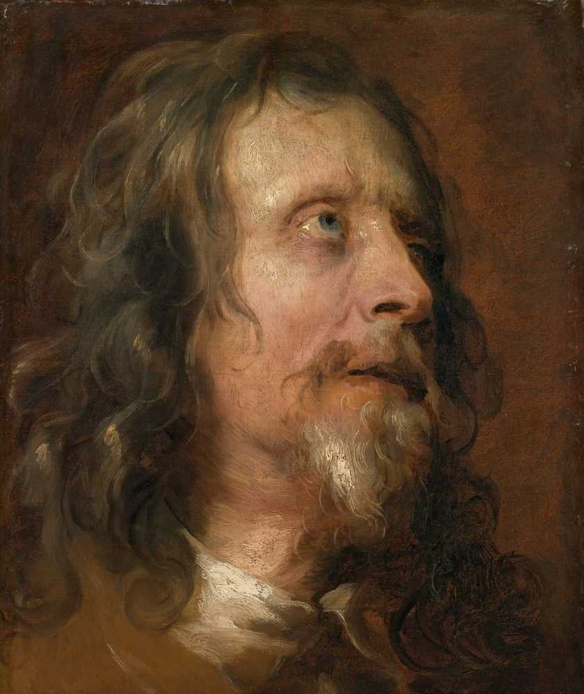 Portrait Study of a Bearded Man - Antoon Van Dyck