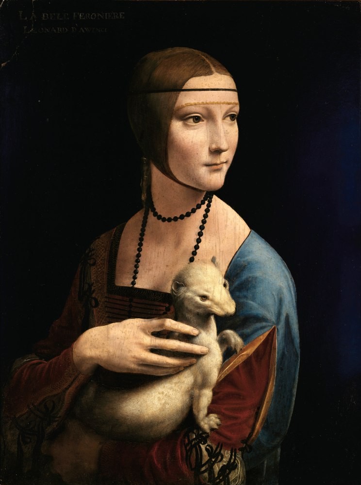 Portrait of a Lady with Ermine - Da Vinci