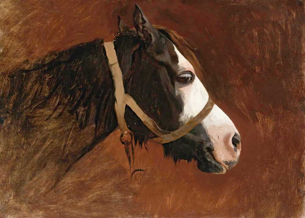 Profile Of A Horse - Jean-Leon Gerome