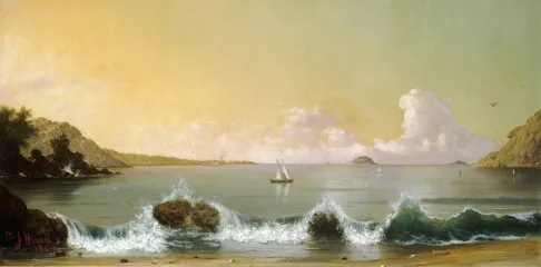 Rio de Janeiro Bay - Martin Johnson Heade