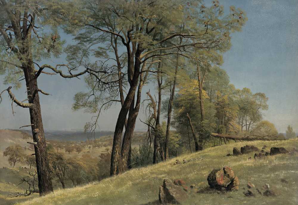 Rockland county, California - Albert Bierstadt