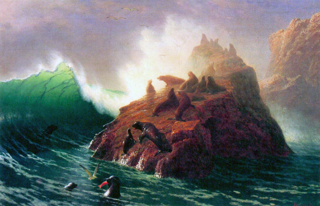 Seal Rock, California - Bierstadt