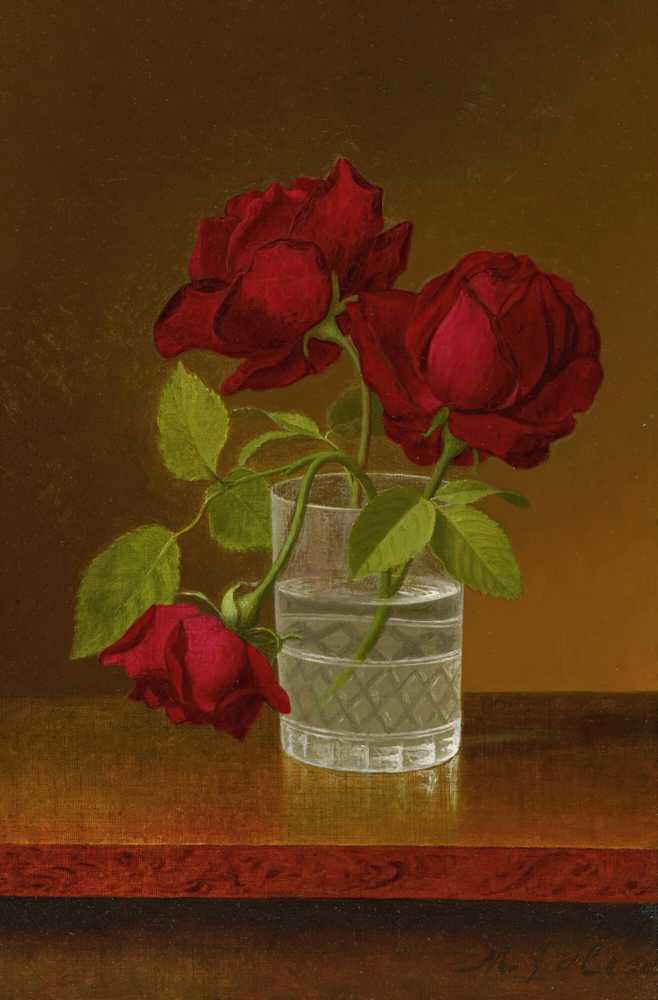 Still Life Of Roses (circa 1878-83) - Martin Johnson Heade