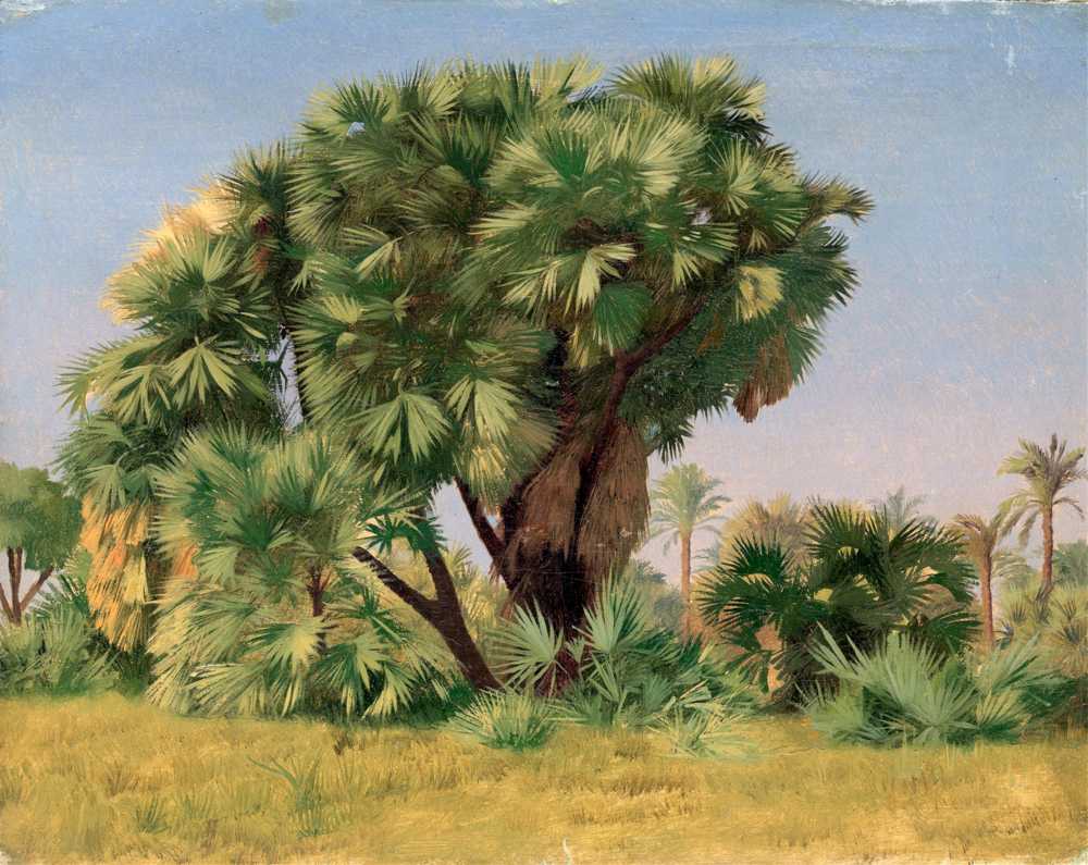 Study of Palm Trees (probably 1868) - Jean-Leon Gerome