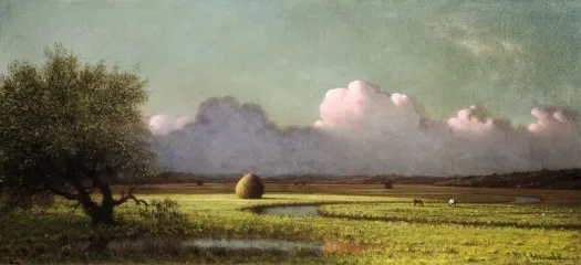 Sunlight and Shadow - The Newbury Marshes - Martin Johnson Heade