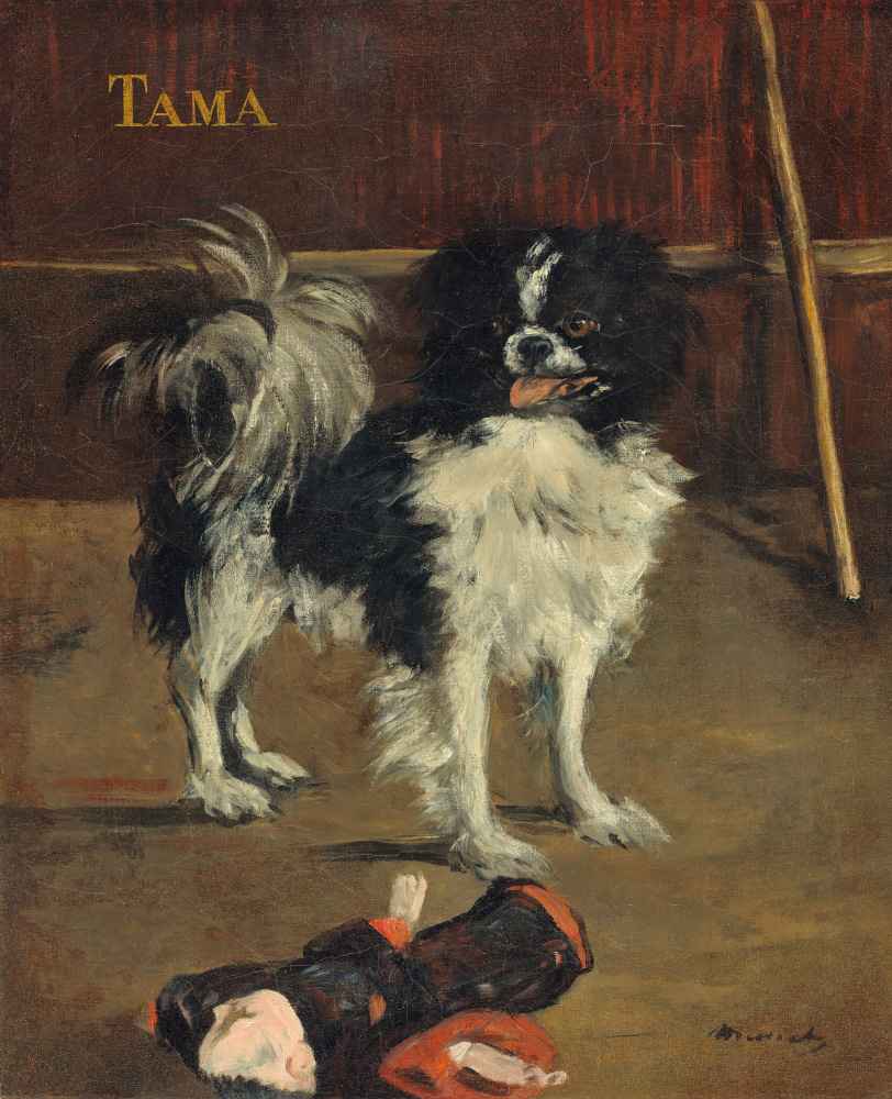 Tama, the Japanese Dog - Edouard Manet