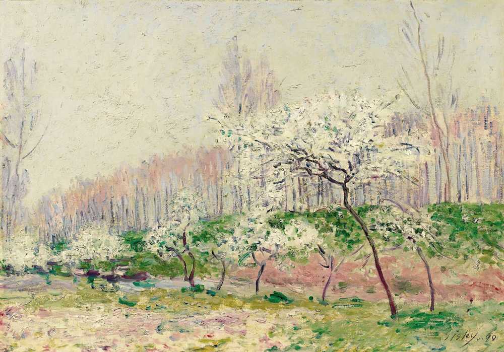 The Apple Trees in Blossom (1890) - Alfred Sisley