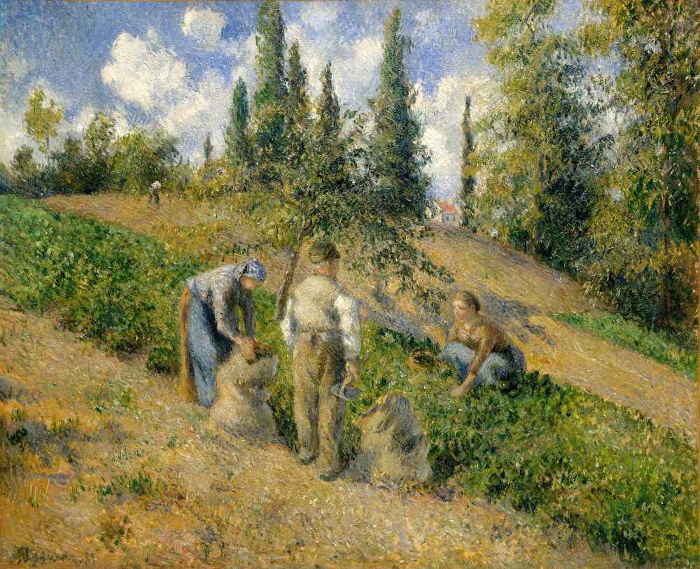 The Harvest, Pontoise (La Recolte, Pontoise) - Camille Pissarro