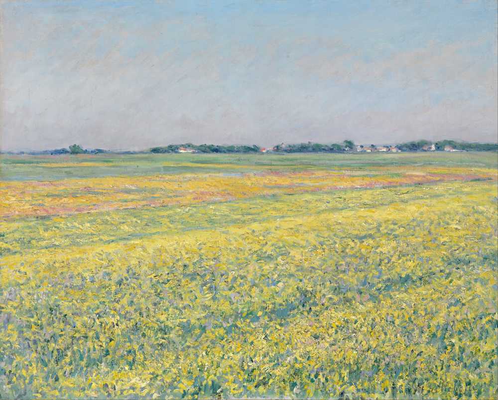 The plain of Gennevilliers, yellow fields - Gustave Caillebotte