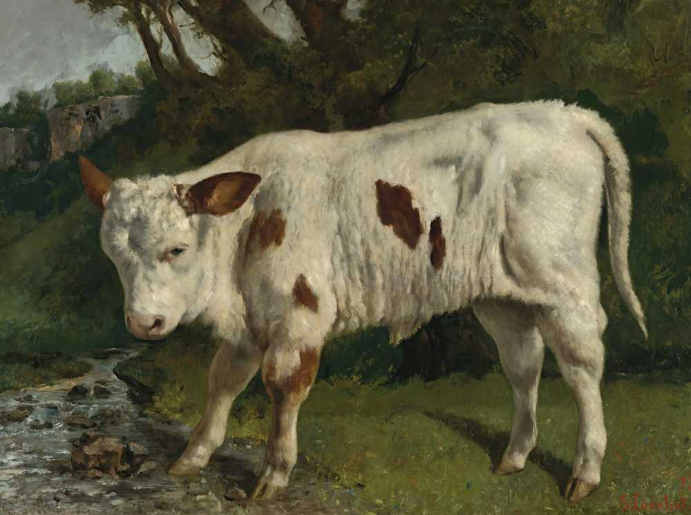 The White Calf - Gustave Courbet