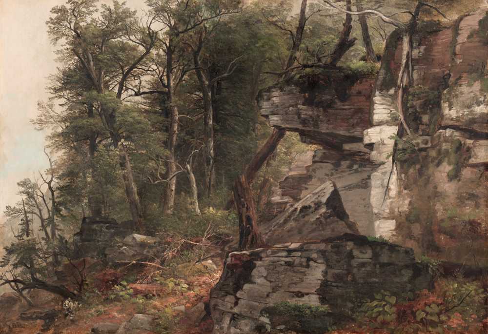 Trees on a Rocky Hillside (c. 1849) - Asher Brown Durand
