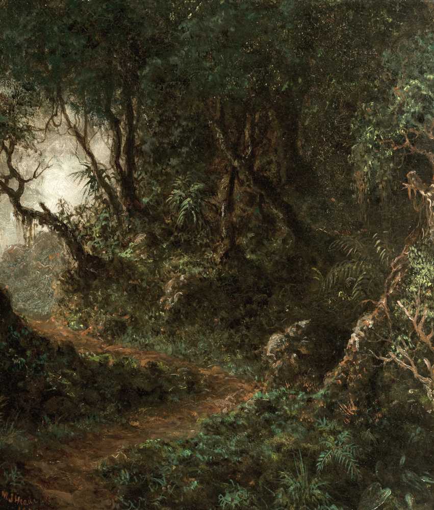 Tropical Greenery (Tropical Landscape) (1875) - Martin Johnson Heade