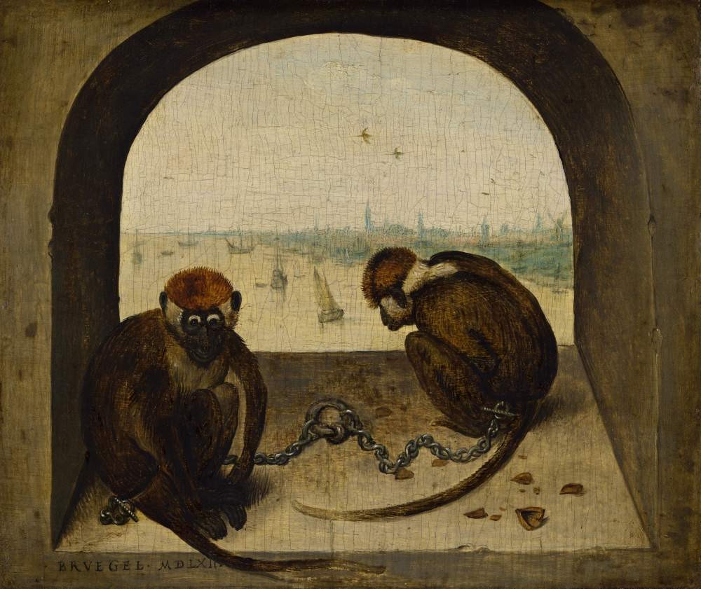 Two monkeys - Pieter Bruegel