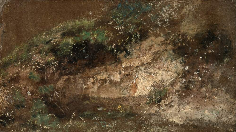 Undergrowth - John Constable